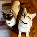 Samuel & Beatrice - @samuelbeatrice707 - Instagram