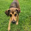 samuel377636 - @samuelbeall377636 - TikTok