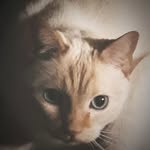 Samuel c Beal - @sambeal000 - Instagram