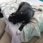 SAMUEL BEARD - @allenbeard44 - Instagram