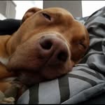 Samuel Beaulieu - @samuelbeaulieu04 - Instagram