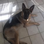 Samuel Jean-Beaulieu - @samuel_beaulieu123 - Instagram
