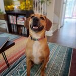 Samuel Beaver - @sbeaver3329 - Instagram