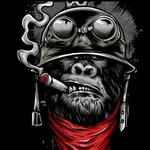 Samuel Beecham - @beechamsamuel - Instagram
