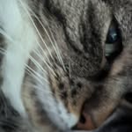 Samuel Beers - @bidsquirrel - Instagram