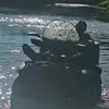 Samuel Belanger - @samuel.belanger5 - TikTok