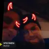 samuel belanger - @samuelbelanger24 - TikTok