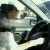 Samuel García Bernat - @samuel.garca.bern - TikTok