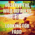 samuel beyer - @randoman180 - Instagram