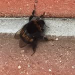 Samuel Beyer - @beyer6320 - Instagram