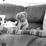 samuelbiddle - @___sam___beast___ - Instagram