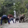 samuel bing - @samuel.bing0 - TikTok