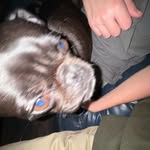 Samuel Bingaman - @samuel.bingaman - Instagram
