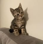 Samuel Birch - Facebook