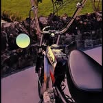 Samuel Bischof - @samuelbischof1800 - Instagram