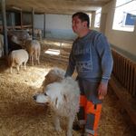Samuel Sämi Bischof - @samuel_bischof2021 - Instagram