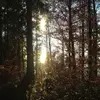 samuelbischof - @samuelbischof - TikTok