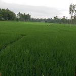 Samuel Biswas - @samuel.raj.bd - Instagram