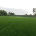 Samuel Biswas - Facebook