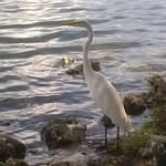 Samuel Bittner - @gonetonature - Instagram