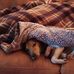 Sam Blount - Facebook