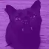 Samuel - @bitter_bitez - TikTok