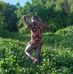Samuel Boman - Facebook
