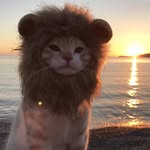 Samuel Bohner - @samuelbohnerbiz - Instagram