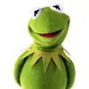 🐸HΘΜIΣ𝗞𝗘𝗥𝗠𝗜𝗧Vibez - @samuelbolt5o - TikTok