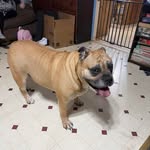 Samuel Bolt - @samuelbolt5 - Instagram
