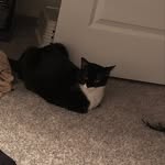 Sammy Borders - @samueljackson2001 - Instagram