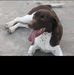 Samuel Borg - Facebook
