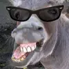 samuelborg226 - @samuelborg226 - TikTok