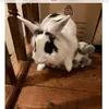 Samuel Boyle - @samuel.boyle - TikTok