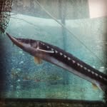 Samuel Braun - @myfgoulas - Instagram