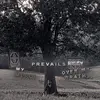 samuel brewster - @samuel.brewster7 - TikTok