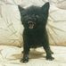 Sam Brogdon - Facebook