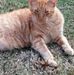 Samuel Broyles - Facebook
