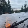 sam - @sam.brumbaugh6 - TikTok