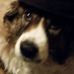 Samuel Bubb - Facebook