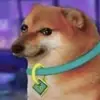 Samuel Budd493 - @zephyr2717 - TikTok