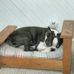Samuel Burchfield - Facebook