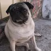 samuel Bustos - @samuelbustos720 - TikTok