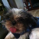 Samuel Buttons - @samuelbuttons - Instagram