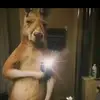 Samuel - @samuelcabello56 - TikTok