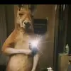 Samuel - @samuelcabello791 - TikTok
