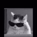Samuel Caceres - Facebook