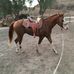 Samuel Cachola - Facebook