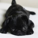 Samuel Cagle - @samuel.cagle.9 - Instagram