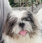 Samuel Calimlim - Facebook